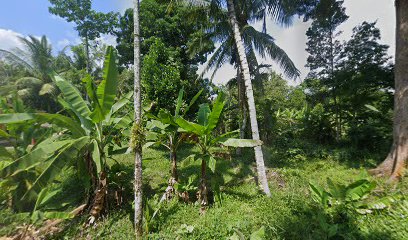 Sangkar Burung Rusli