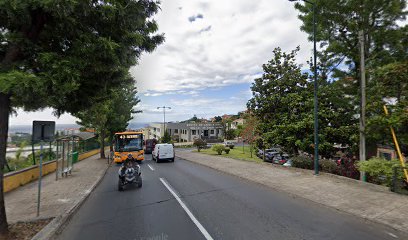 Ponte Ribeira Grande D