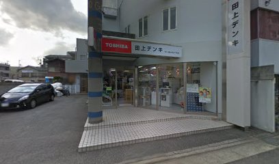 田上デンキ