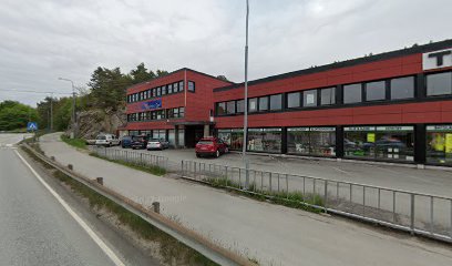 Elektro Sør AS