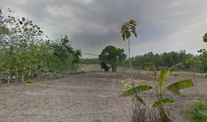 TAMAN MAKAM MBAH KERTONEGORO