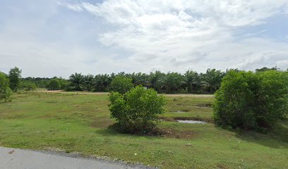 Big palm plot, Bacho Colony