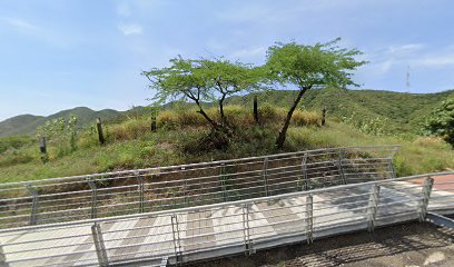 JARDÍN DE JESÚS