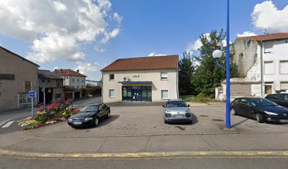 Clinique Vétérinaire de Château-Salins - Le Lézard Bleu