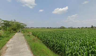 Kelompok Bermain Aisyiyah Kurung