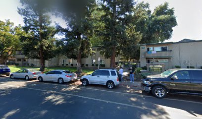 Redwoods At Mather Station