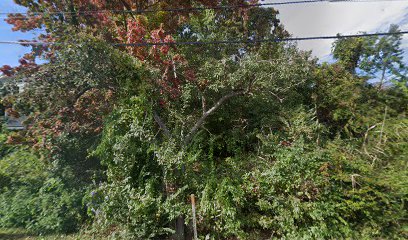 Nahant Thicket Wildlife Sanctuary Parking