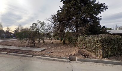 Laprida y Álzaga (Luján de Cuyo, Mendoza)