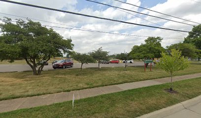 Lapeer Park|Volleyball Court