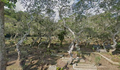 Makam desa pajaran