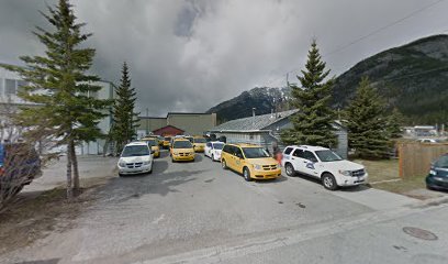 Mountain Taxi & Tours Ltd