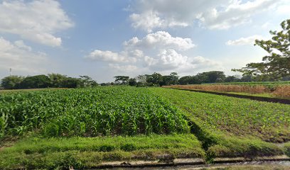 Taman Kanak Kanak Pertiwi Smalangan