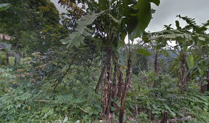 Makam Simbah Tuan Potro Joyo