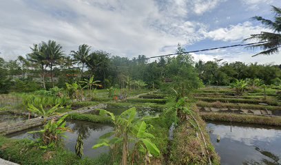 BUDIARTO MANDIRI