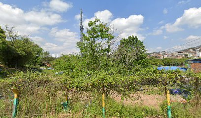 Lote Campamento Unitransa y Patios Tránsito Floridablanca