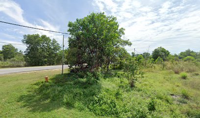 Ladang Ayam Organik Setiu