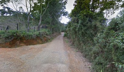 ENTRADA FINCA CIBELES