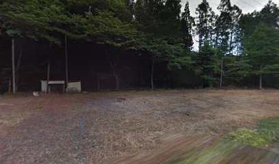 藤枝キャンプ場 SAKURA BASE