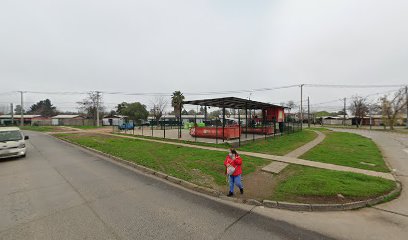 Centro Municipal de Reciclaje Las Colines