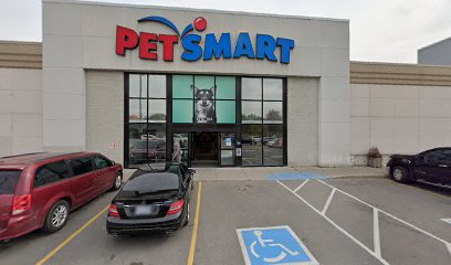 PetSmart Dog Training