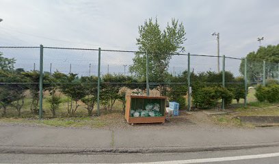 長野県小諸高等学校 テニスコート