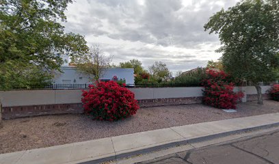 Tempe Carpet Cleaning