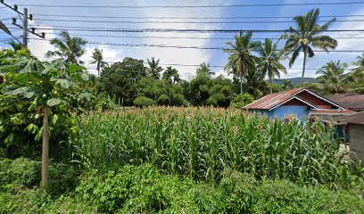 Eksekutif Muda Travel Pasaman Pekanbaru