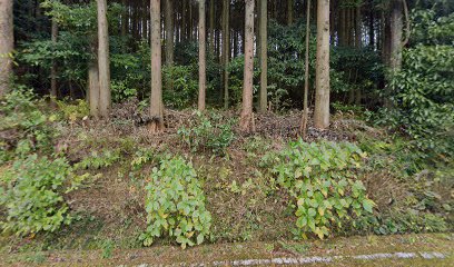 佐世保市 上野原浄水場