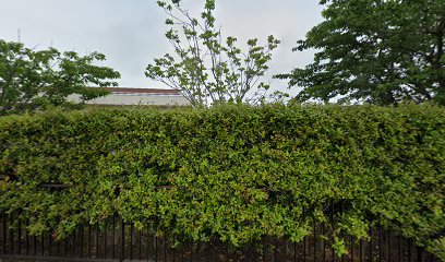 富山県立高志支援学校