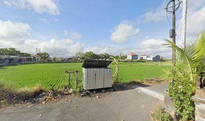 Sawah Pemecutan Manyar Ketewel