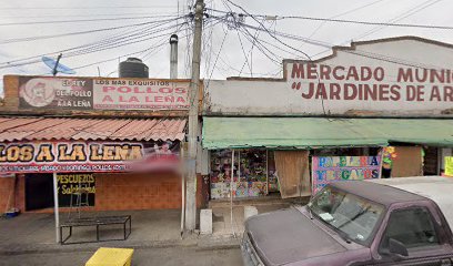Mascoteria Veracruz