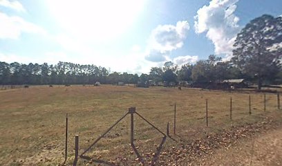 Kemp Cemetery