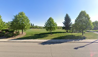 Brevoort Park Field