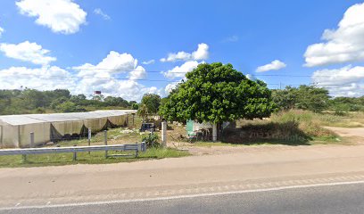 Invernaderos Ma'lob Pakal