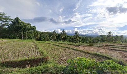 Awan pangkas rambut