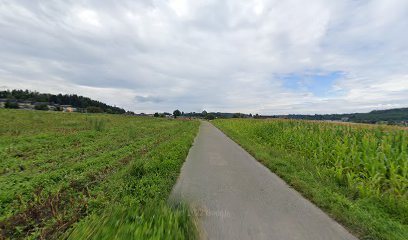 Yoga Klang Bewegung