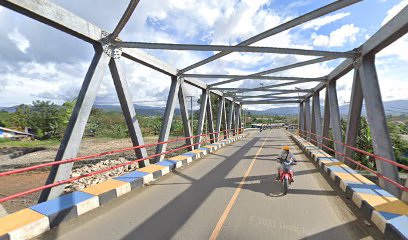 Jembatan besar bahodopi