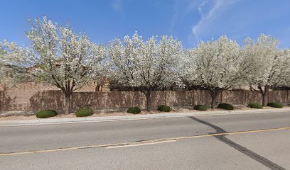 Desert Gardens