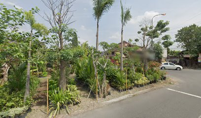 Bugisan Garden Tanaman