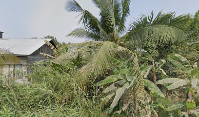 KUSEN PINTU & JENDELA (AMANG ANI)