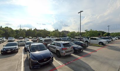 Topgolf Houston Parking Lot