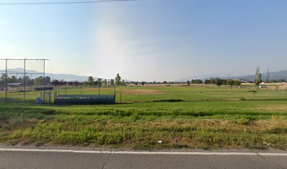 Field 5