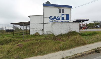 GAS 1 S.A. DE C.V.