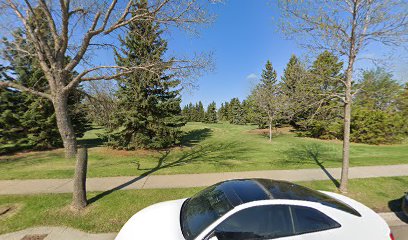 Langholm Temporary Disc Golf