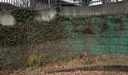 社会福祉法人ペレンナトリリアム シェステやまの花