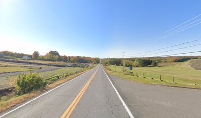 Les boisés du vignoble.