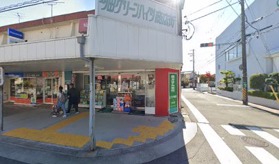 ヒグチ薬局本店