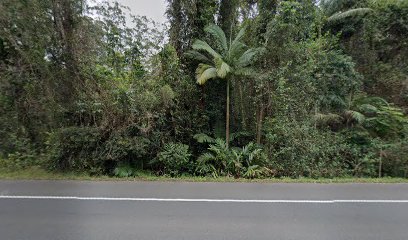 Tanawha Rainforest BNB