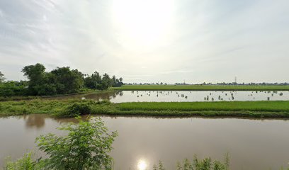 ڤيترونس Petronas