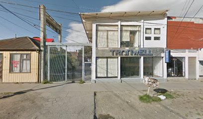 Instituto de Idiomas Tronwell - Punta Arenas